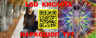 apvp Свободный