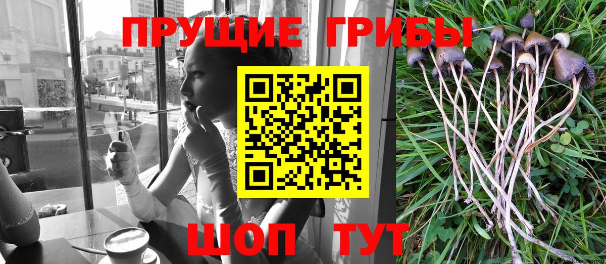 Нягань  Галлюциногенные грибы ЛСД  Вход с VPN 